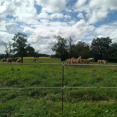 Lägenhet Appartement Volmunster *