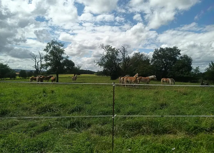 Apartament Appartement Volmunster *